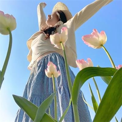 大唐女法医