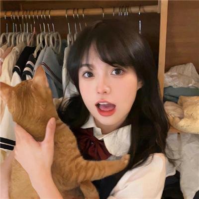 吉什岛的故事